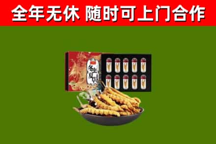 九江回收冬虫夏草价格
